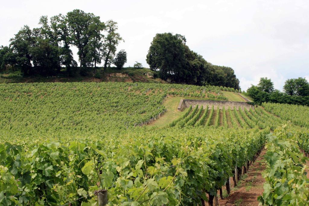 La Residence Les Grands Vignobles Libourne Pokoj fotografie